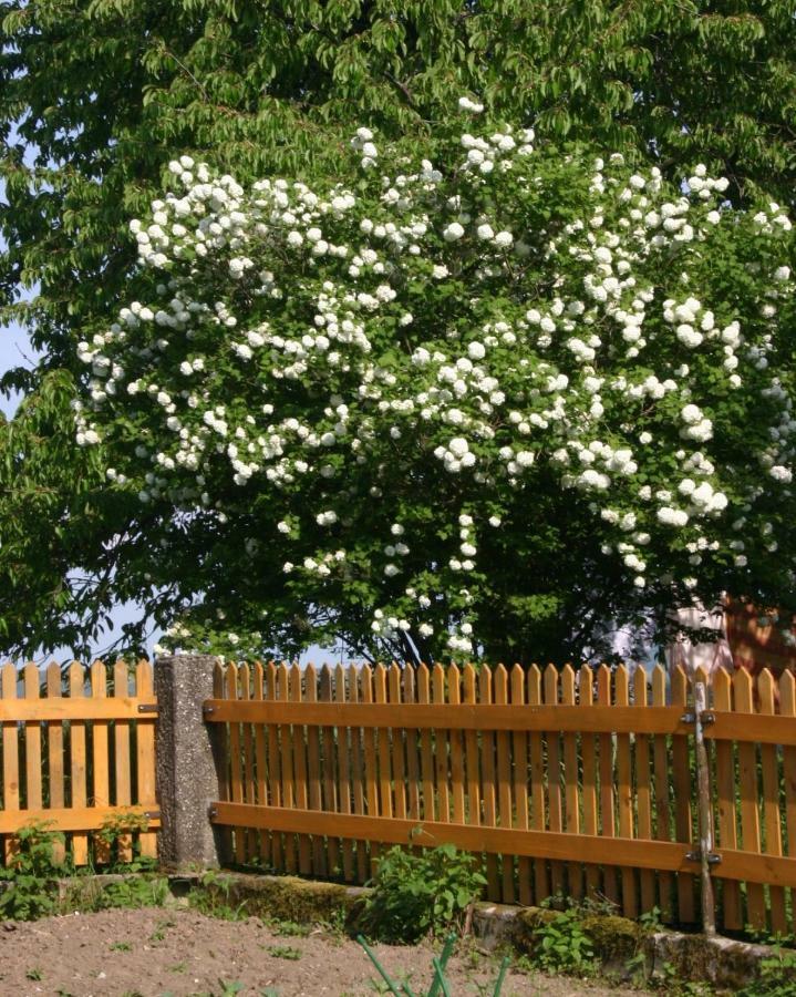 Reiterbauernhof Schoenlehenhof Mank Bagian luar foto