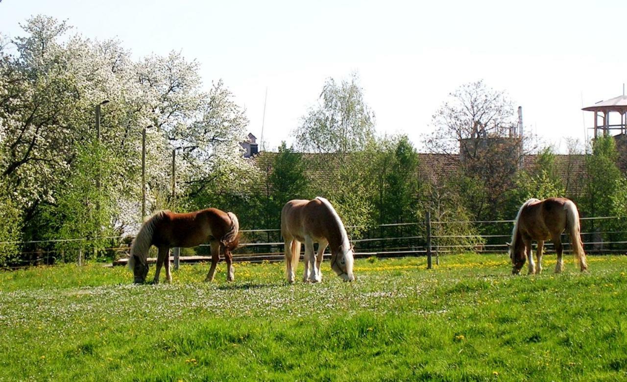 Reiterbauernhof Schoenlehenhof Mank Bagian luar foto